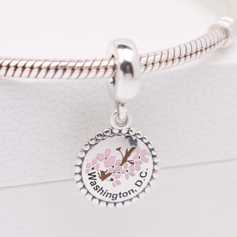 RARE Special Edition PANDORA Washington DC Dangle
